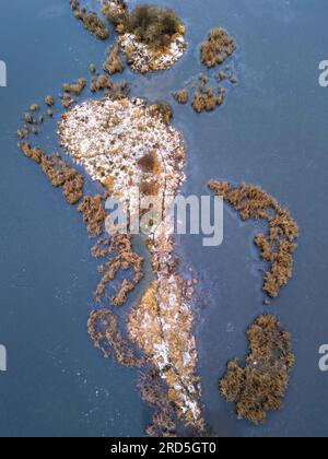 Vista aerea, paesaggio lacustre, neve, gelo, area di canne, pianura alluvionale con sentiero per animali, paesaggio ghiacciato, alba, inverno, ghiaccio, Biosfera dell'Elba centrale Foto Stock