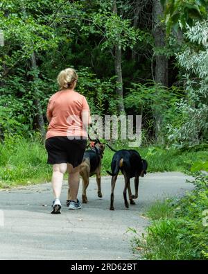 Una donna caucasica adulta in abbigliamento estivo cammina due cani su un sentiero naturalistico a Wichita, Kansas, Stati Uniti. Foto Stock