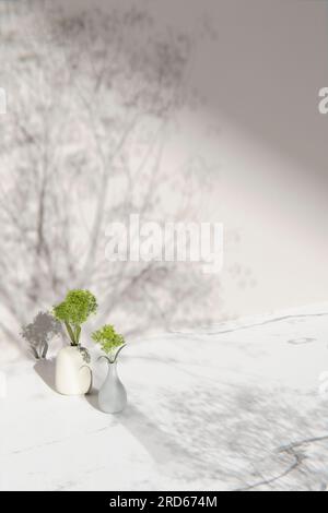 Sfondo semplice monotono con vasi, ombre degli alberi e luce naturale. Foto Stock
