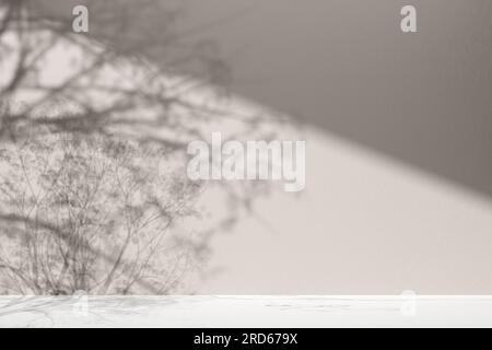 Sfondo semplice monotono con vasi, ombre degli alberi e luce naturale. Foto Stock