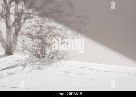 Sfondo semplice monotono con vasi, ombre degli alberi e luce naturale. Foto Stock