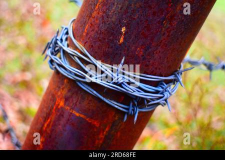 Filo spinato avvolto intorno a un palo d'angolo in metallo arrugginito, che forma una recinzione per tenere il bestiame all'interno, un allevamento di bestiame nelle zone rurali del Missouri, Missouri, Stati Uniti, Stati Uniti, Stati Uniti. Foto Stock