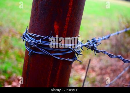 Filo spinato avvolto intorno a un palo d'angolo in metallo arrugginito, che forma una recinzione per tenere il bestiame all'interno, un allevamento di bestiame nelle zone rurali del Missouri, Missouri, Stati Uniti, Stati Uniti, Stati Uniti. Foto Stock