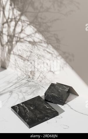 Sfondo semplice monotono con vasi, ombre degli alberi e luce naturale. Foto Stock