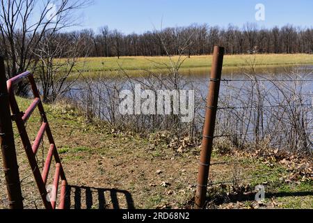 Un cancello di metallo aperto su un sentiero che conduce dal cortile allo stagno di un allevamento di bestiame nelle zone rurali del Missouri, Missouri, Stati Uniti, USA, USA. Foto Stock