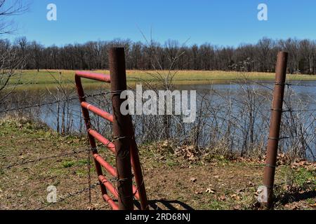 Un cancello di metallo aperto su un sentiero che conduce dal cortile allo stagno di un allevamento di bestiame nelle zone rurali del Missouri, Missouri, Stati Uniti, USA, USA. Foto Stock