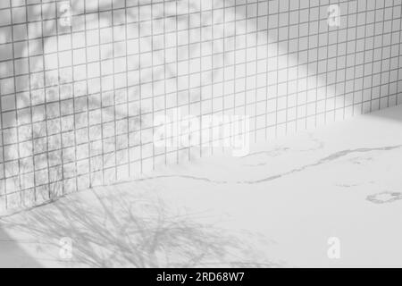 Sfondo semplice monotono con vasi, ombre degli alberi e luce naturale. Foto Stock