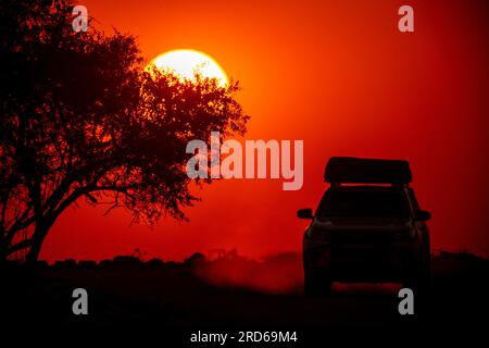 Safari in auto all'alba, Parco Nazionale di Etosha, Namibia Foto Stock