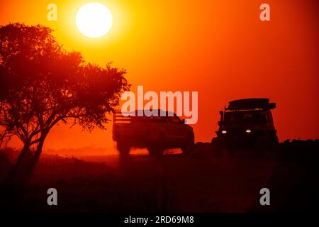 Safari in auto all'alba, Parco Nazionale di Etosha, Namibia Foto Stock