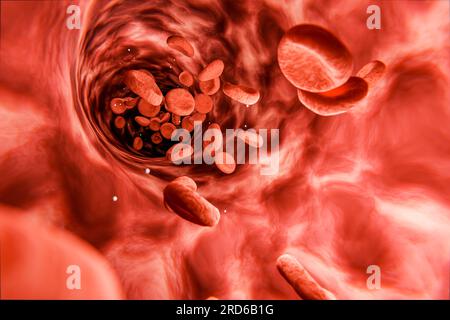 I globuli rossi in vena o arteria fluiscono all'interno di un organismo vivente. vista da endoscopio o microscopio, prevenzione e trattamento di vene e disagi Foto Stock