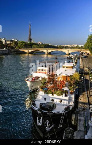 FRANCIA. PARIGI (75) VISTA SULLA SENNA E LE SUE CHIATTE, IL PONT DES INVALIDES E LA TORRE EIFFEL Foto Stock