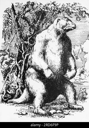 Zoologia / animali, bradipo, bradipo gigante (Megatherium), disegno, 20th Century, ADDITIONAL-RIGHTS-CLEARANCE-INFO-NOT-AVAILABLE Foto Stock