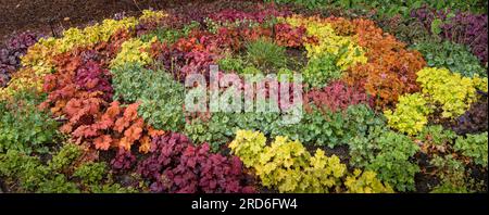 spirale di erbe nel giardino con erbe e fiori Foto Stock