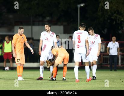 Il cane è corso in campo durante la partita di ritorno del primo turno di qualificazione per la UEFA Champions League tra HSK Zrinjski BiH e FC Urartu a Mostar, Bosnia ed Erzegovina, il 18 luglio 2023. Foto: Denis Kapetanovic/PIXSELL credito: Pixsell/Alamy Live News Foto Stock