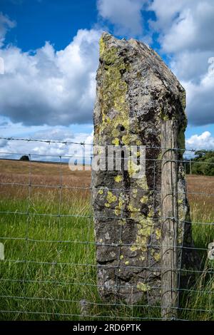 Un tradizionale cancello a sinistra accanto a una recinzione metallica galvanizzata, Pooley Bridge, Cumbria, Regno Unito Foto Stock