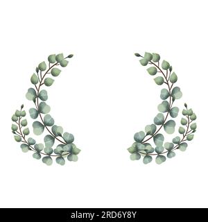 acquerello viti di eucalipto su sfondo bianco isolato Foto Stock