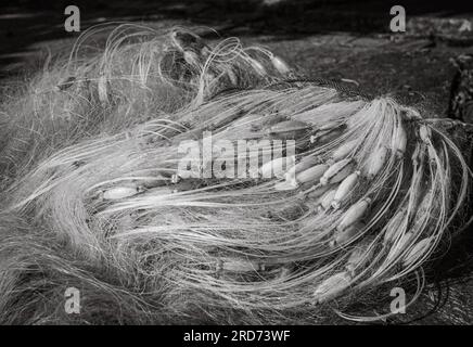 Reti da pesca costiere con carri colorati rossi e gialli disposte di fronte agli alberi a South Beach, Son tra, Danang, Vietnam Foto Stock