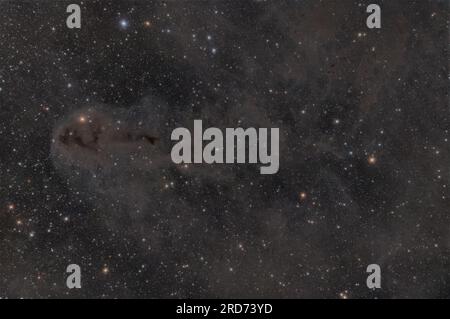LDN1251 una nebulosa scura nella costellazione di Cefeo Foto Stock