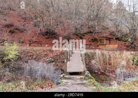 Attraversa l'incantevole Faedo de Ciñera su un ponte di legno in mezzo a uno sfondo marrone, sperimentando il caldo abbraccio della bellezza autunnale Foto Stock