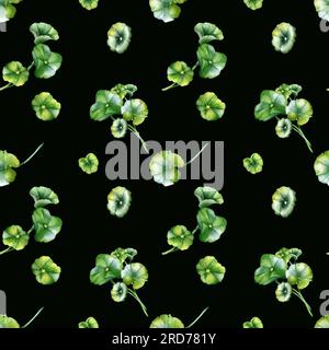 Semi Di Centella Asiatica (Gotu Kola) - 400 Pezzi Per Piante Rare, Erbe Medicinali E Tetti Verdi