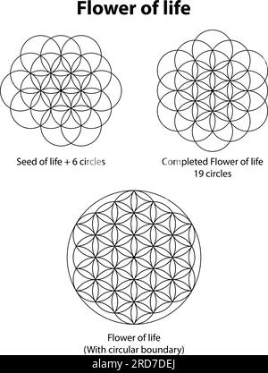 Fiore della vita 6,19 e limite del cerchio. Elementi di progettazione vettoriale Sacred Geometry. Questa religione, filosofia e spiritualità simboli. il mondo del geo Illustrazione Vettoriale