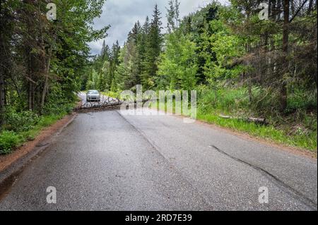 Un albero caduto blocca una strada nel Banff National Park, Alberta, Canada Foto Stock