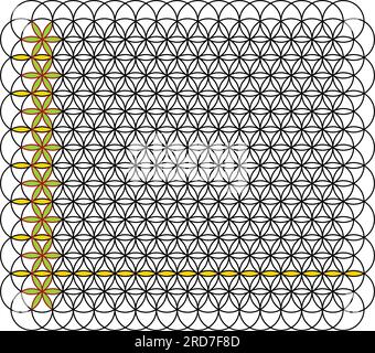 Elementi di progettazione vettoriale con geometria spaventata. linea sottile geometrica. isolato su sfondo bianco. il mondo della geometria con le nostre intricate illustrazioni. Illustrazione Vettoriale