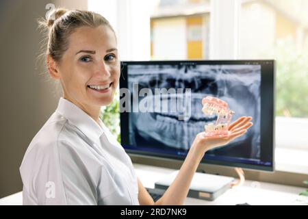 dentista sorridente con tipodonte dentale, modello di denti in mano negli studi clinici Foto Stock