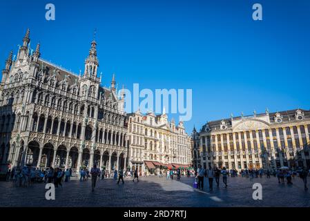 Il Museo della città di Bruxelles si trova nella Maison du ROI (casa del re) o Broodhuis (casa del pane). Alla He Grand Place, Bruxelles, Belgio Foto Stock