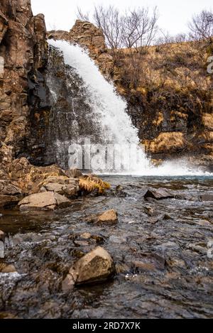 La piccola cascata di Magnúsarfoss, alimentata dal fiume Stórilækur, nascosta in una gola nella riserva naturale di Skaftafell, in Islanda, nel Parco Nazionale di Vatnajökull Foto Stock