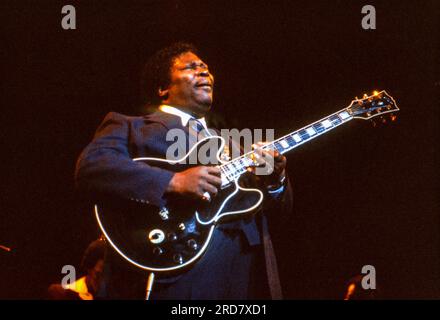 BB King si esibisce al Royal Festival Hall di Londra, Inghilterra nel 1984. Foto Stock