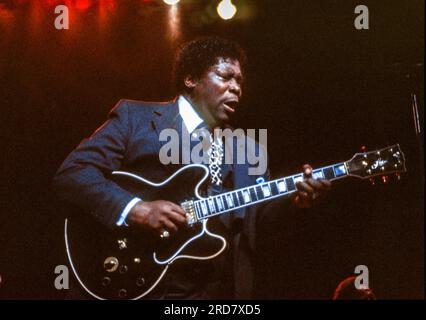 BB King si esibisce al Royal Festival Hall di Londra, Inghilterra nel 1984. Foto Stock