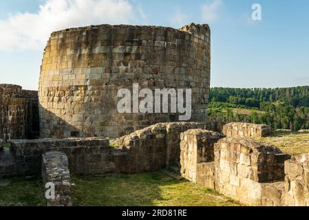 Rovine del castello di Falkenburg, un castello collinare del XII secolo, vicino a Detmold, Teutoburg Forest, Germania Foto Stock