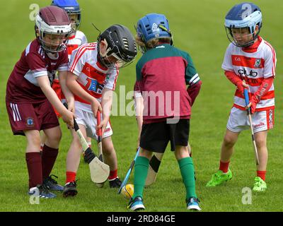 I bambini delle scuole elementari giocano a sfrecciare all'Owenbeg Centre of Excellence, County Derry. Foto: George Sweeney/ Alamy Stock Photo Foto Stock