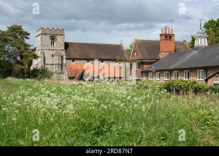 St Mary's Church and the Streatley Meadows in Spring, Streatley, Berkshire, Inghilterra, Regno Unito, Europa Foto Stock