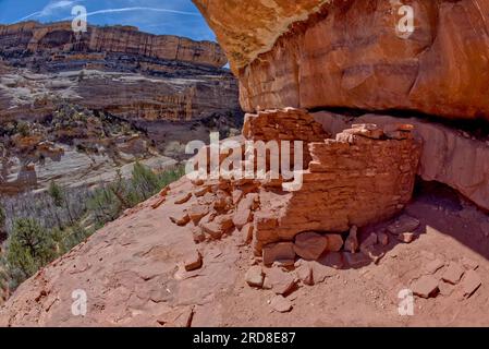 Le rovine del colletto di cavalli si trovano tra il ponte Sipapu Arch Bridge e il ponte Kachina Arch Bridge, Natural Bridges National Monument, Utah, USA Foto Stock