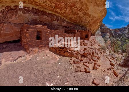 Le rovine del colletto di cavalli si trovano tra il ponte Sipapu Arch Bridge e il ponte Kachina Arch Bridge, Natural Bridges National Monument, Utah, USA Foto Stock