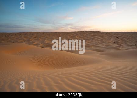 Tramonto primaverile alle porte del deserto del Sahara, con le dune di sabbia illuminate dalla luce dorata, Tunisia, Nord Africa, Africa Foto Stock