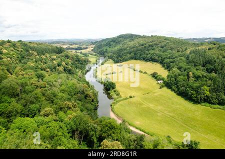 Vista da Symonds Yat Rock Foto Stock