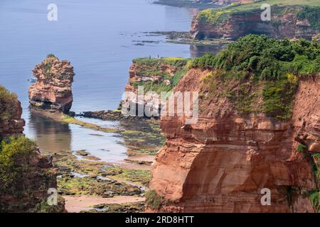 Pittoresca costa di Ladram Bay, Devon, Gran Bretagna. Foto Stock