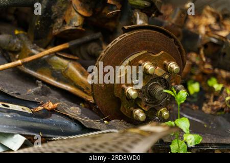 Vecchie parti arrugginite dell'assale anteriore di un'auto abbandonata nella foresta. Concetto ecologico. Foto Stock