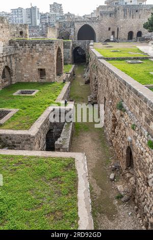 Cittadella di Tripoli (Cittadella di Raymond de Saint-Gilles), Tripoli, Libano Foto Stock