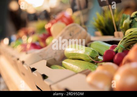 Frutta e verdura fresche colorate provenienti da raccolti naturali, zucca biologica o zucchine poste sul mercato agricolo. Verdure crude biologiche e prodotti ecologici provenienti dal giardino agricolo, dal mercato alimentare. Primo piano. Foto Stock