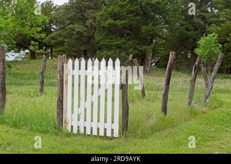 Il cancello bianco del picchetto chiude il filo di pollo rustico e la recinzione con palo di legno nel giardino dello Spring Hill Ranch sulla Tallgrass Prairie National Preserve Foto Stock