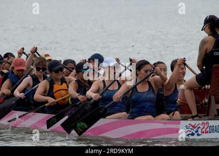 Divertiti con il Dragon Boat Racing sul fiume cooper Foto Stock