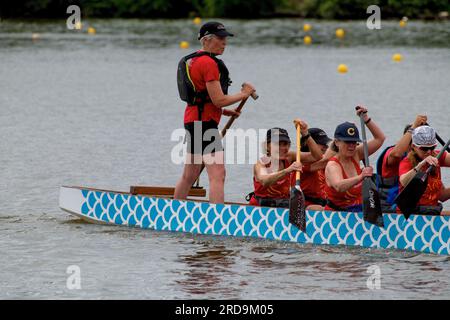 Mai troppo vecchio per Dragon Boat Racing cooper River Foto Stock