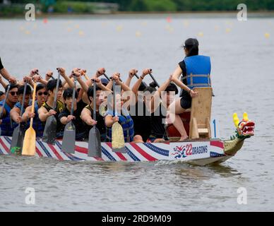 Dragon Boat Racing Cooper River Keeping Time Foto Stock