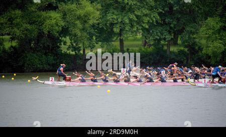 Dragon Boat Racing Cooper River, un altro vicino Foto Stock