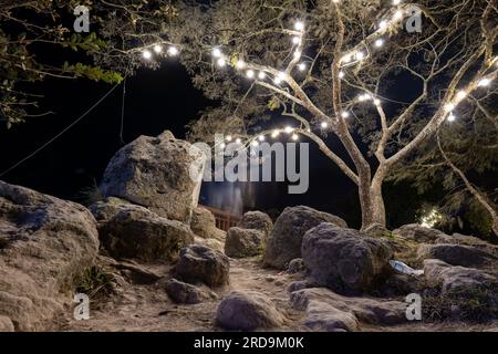 Tegucigalpa, Francisco Morazan, Honduras - 11 dicembre 2022: Albero nel Parco "El Picacho" tra le grandi rocce con ghirlande di luce bianca di notte Foto Stock