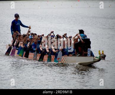 Dragon Boat Racing Cooper River si sta preparando Foto Stock